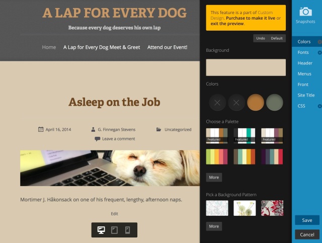 One of three free color palettes available for the Typo theme. 